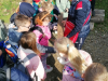 ND_kmetijat_24_25_018