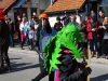 pust_1617_173 pust_1617_173