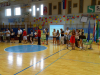 zpr_16_17_207